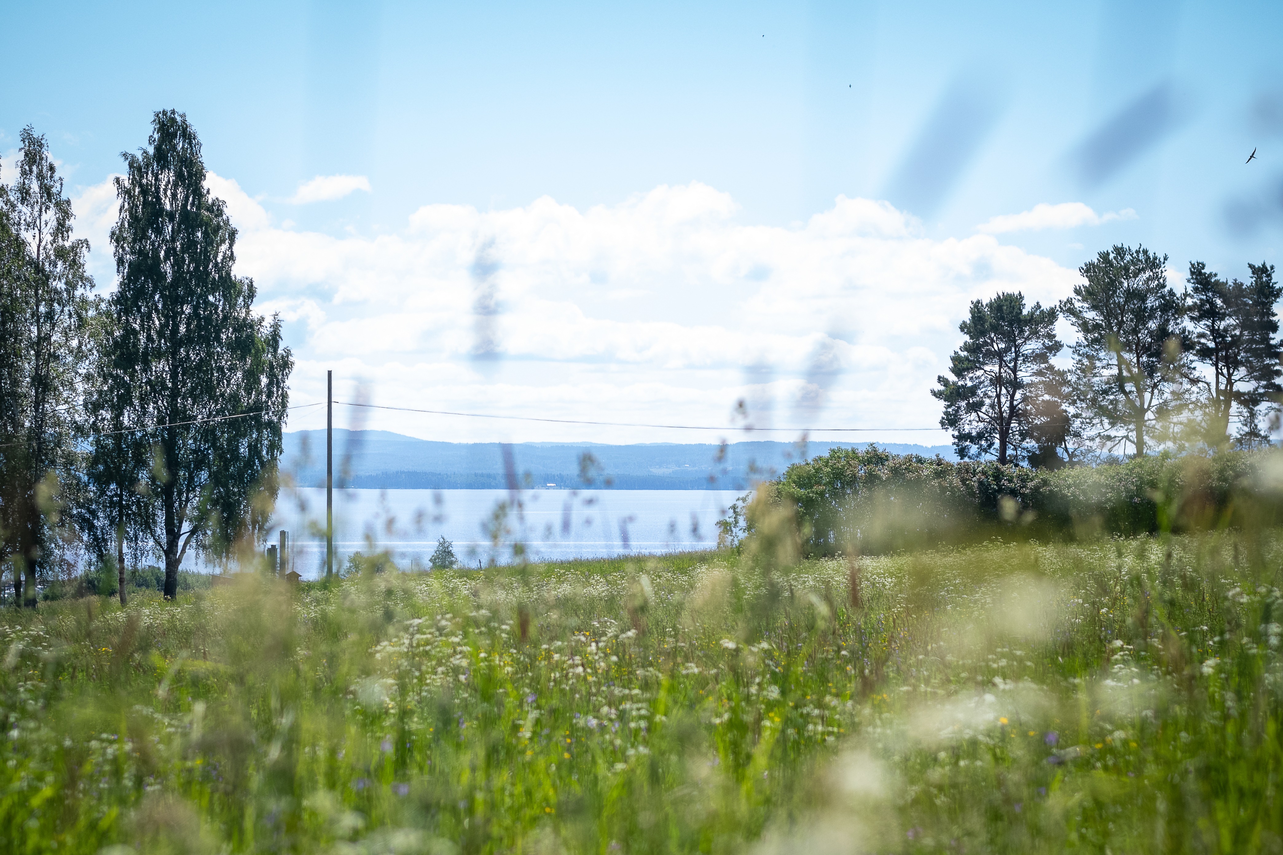 Utsikt över äng, sjö och berg sommartid.