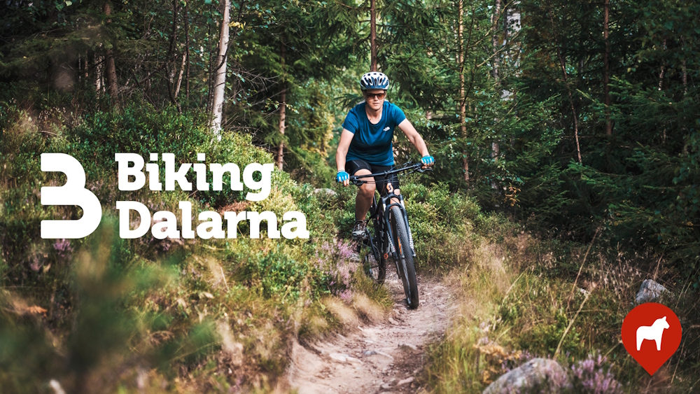 Biking Dalarna logo och mountainbikecyklist som cyklar på stid i skogen.