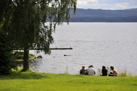 En grupp ungdomar sitter i gräset intill en sjö sommartid.