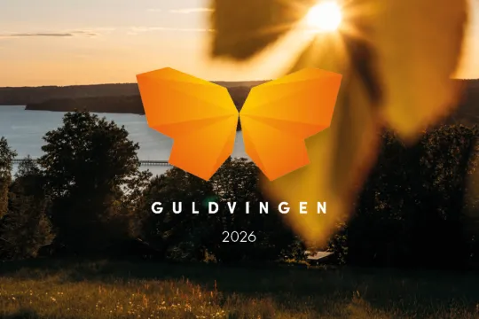 Björklöv som hänger ner framför en solnedgång.