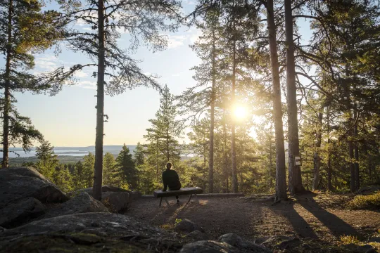 En kvinna sitter på en bänk på en utsiktsplats omgiven av skog.