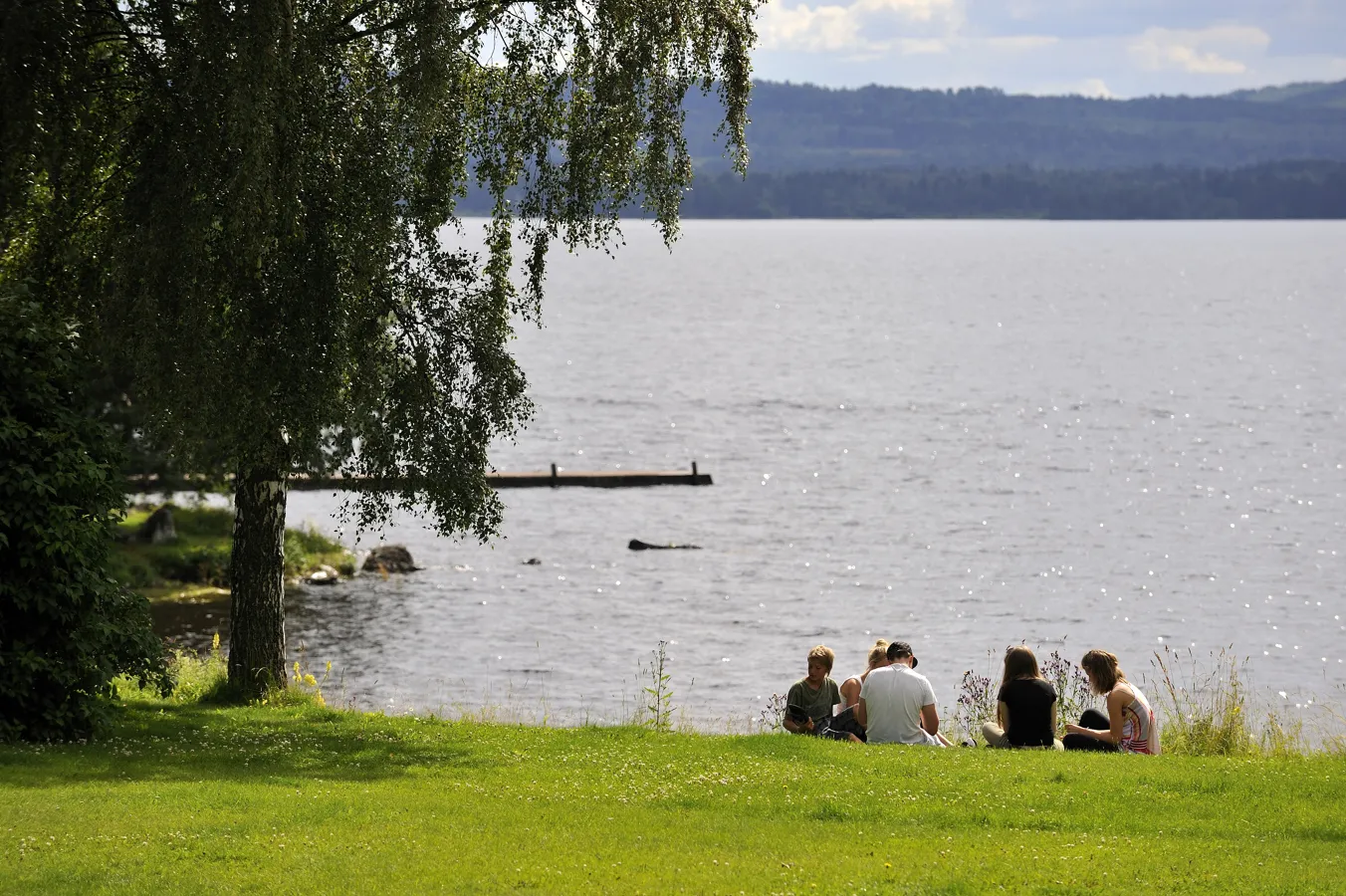 En grupp ungdomar sitter i gräset intill en sjö sommartid.