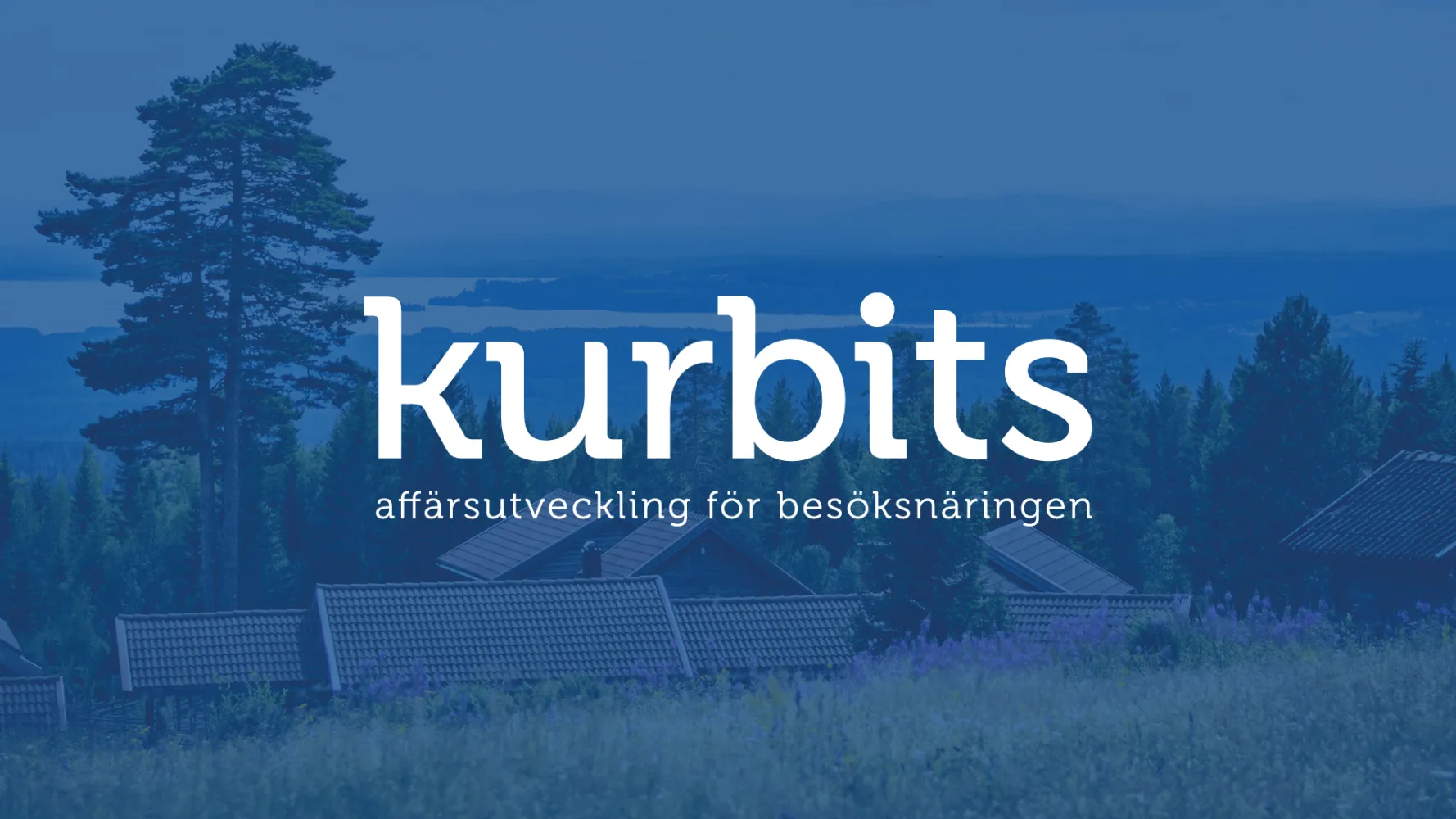 Logotyp för affärsutvecklingsprogrammet Kurbits