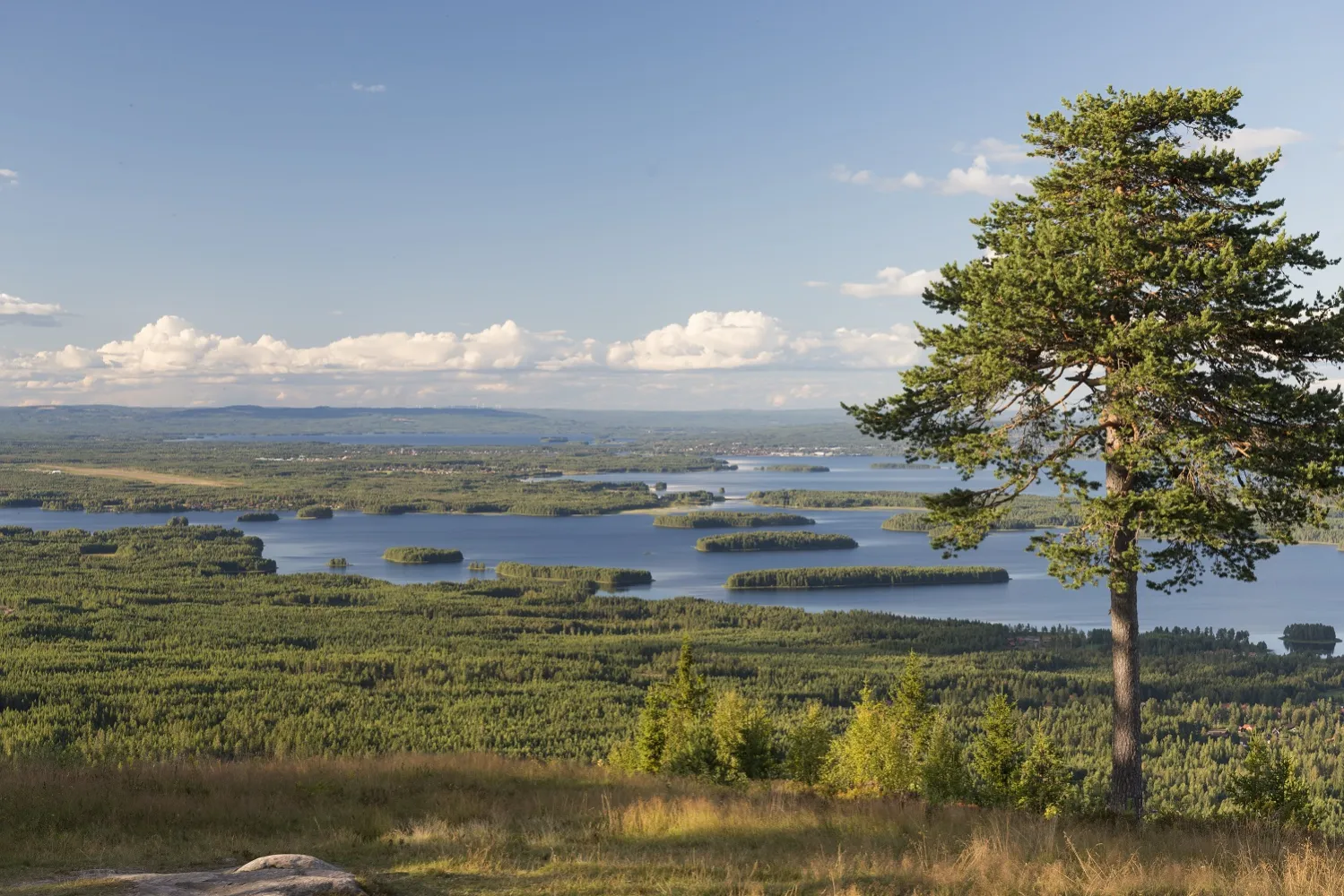 Vy över sjön Siljan från Gesundaberget.