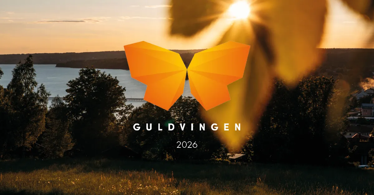 Björklöv som hänger ner framför en solnedgång.