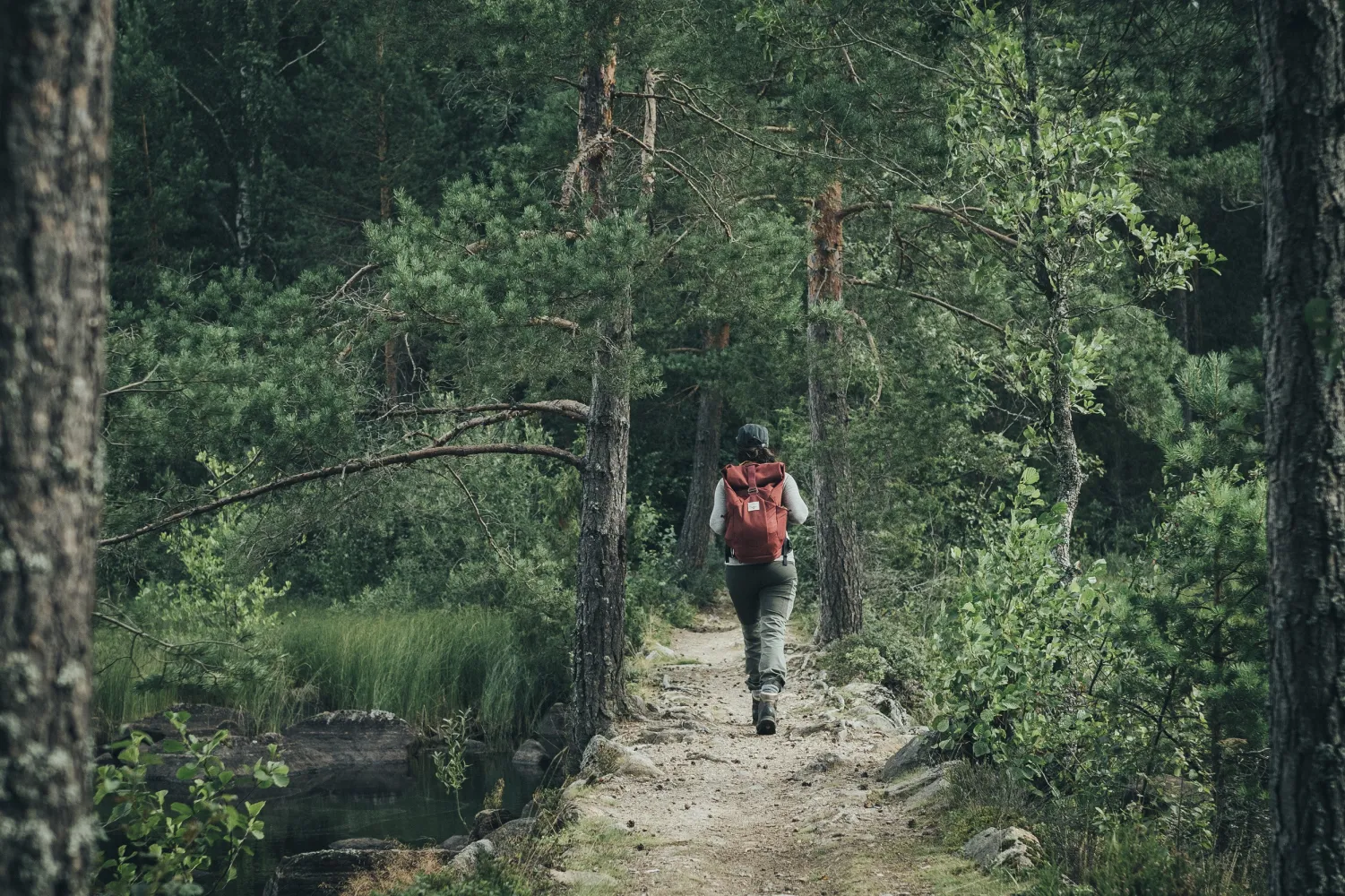 Kvinna vandrar i skogen i Dalarna.