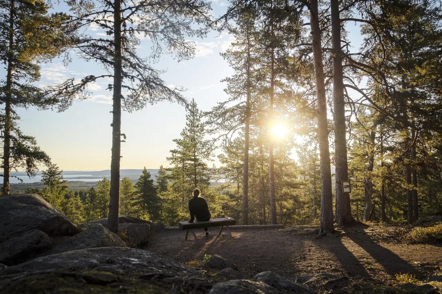 Tjej som sitter på en bänk i skogen och kollar på solnedgången.