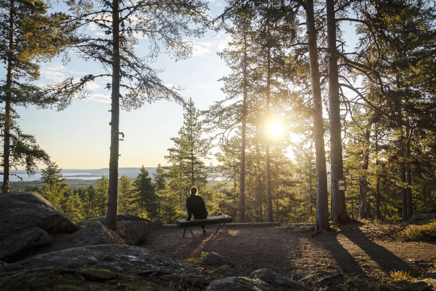 En kvinna sitter på en bänk på en utsiktsplats omgiven av skog.