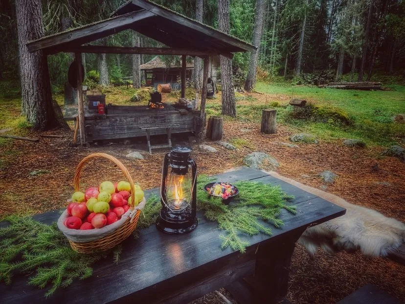 Utomhusmat uppdukat på bord i skogen hos Nova Events.