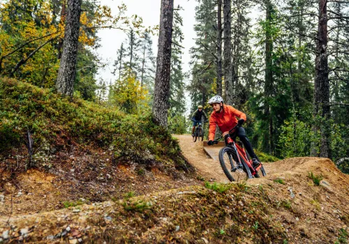 Två cyklister cyklar snabbt på kurvig skogsstig.