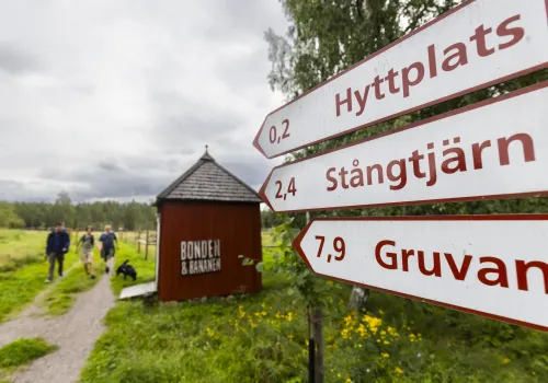 Skyltar intill en vandringsled.