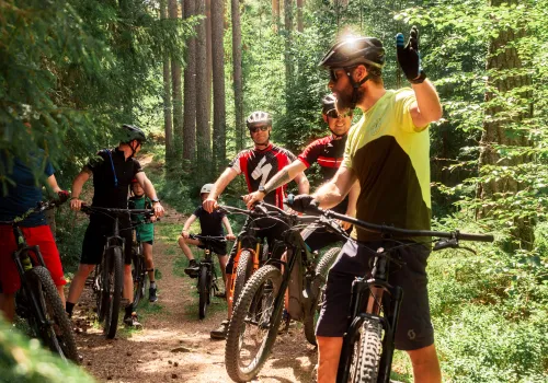 MTB-cyklister på stig