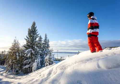 Barn står på toppen av skidbacke med utsikt över vinterlandskap.