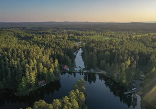 Drönarbild med utsikt över dalälven och skog i solnedgång.