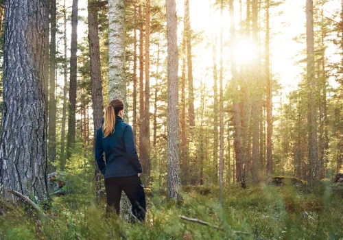 Kvinna står i skogen i solnedgång.