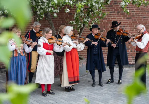 En grupp med folkmusiker spelar fiol utomhus sommartid.
