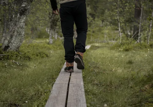 En person går på en spång över en myr sommartid.