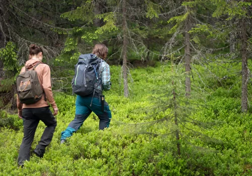 Två personer går i skogen.