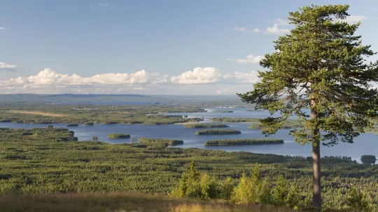 Vy över sjön Siljan från Gesundaberget.