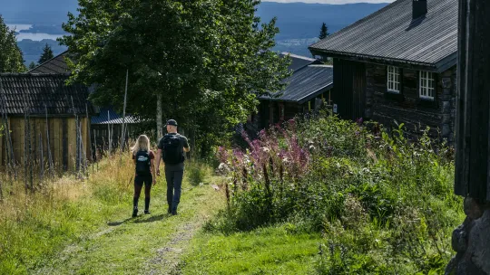 Par som vandrar längs en led.