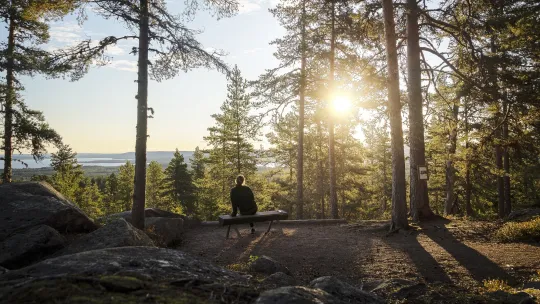 Tjej som sitter på en bänk i skogen och kollar på solnedgången.