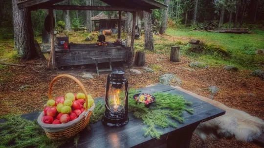 Utomhusmat uppdukat på bord i skogen hos Nova Events.