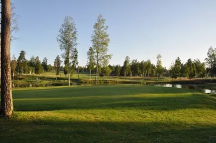 Golfbana med några björkar.
