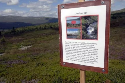 Informationstavla om Linnéstigen