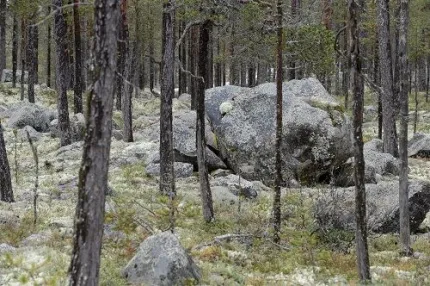En mycket stenig Ekopark
