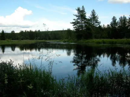 Liten del av Dalälven.