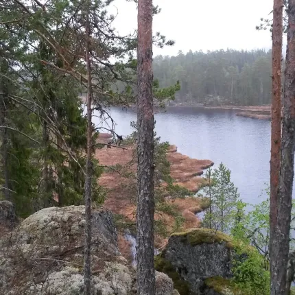 Utsikt från höjden.