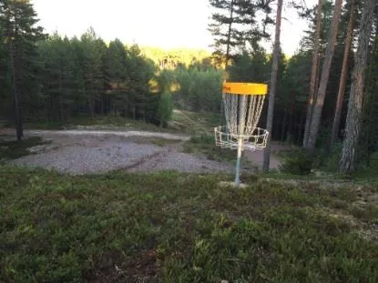 Korg ute på discgolfbanan.