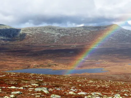 Regnbåge över fjäll 