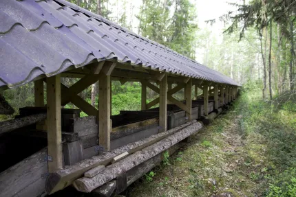 Kvarnbyggnad i skog