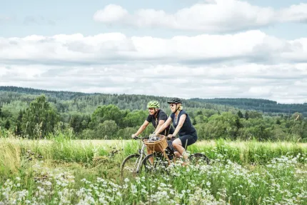 Per Bifrost Cyklande par.