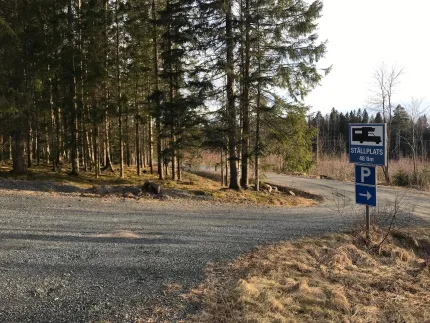 Ställplatsen med skog intill.