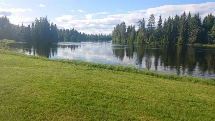 vatten, skog och åker.