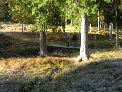 Jeanette Gradén Vandringsled i skogen.