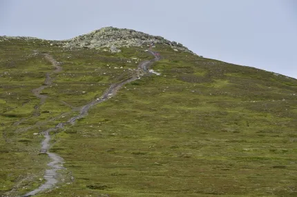 A path leading up a green mountain.