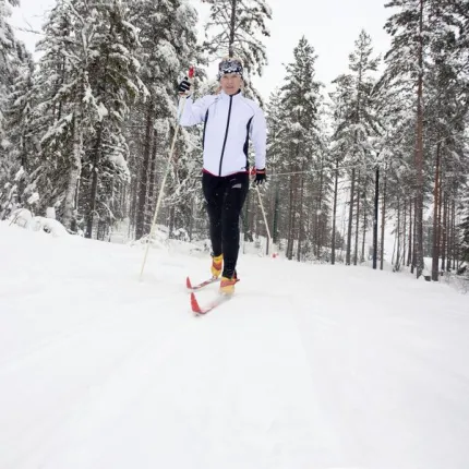 Skidåkare i skogen.