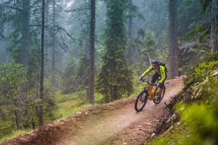 Cyklist i nedförsbacke