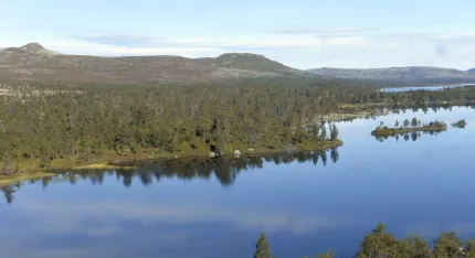 Vy över Storån
