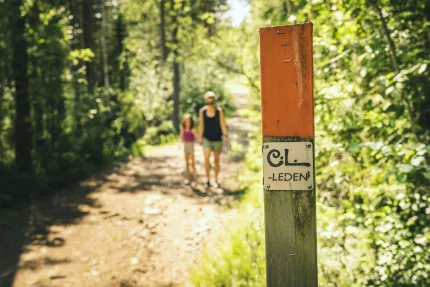 Orange trail marking, woman with child walking.