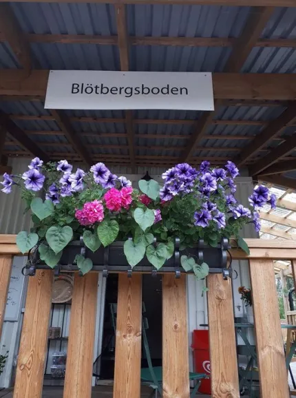 Flera blommor i en blomlåda som hänger på ett staket. 