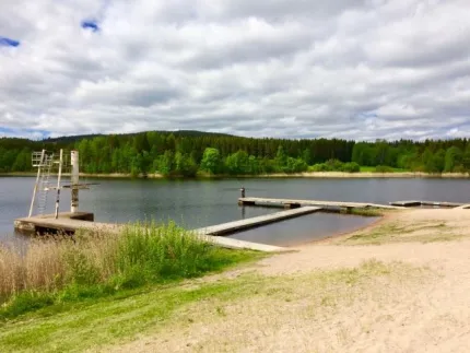 Beach with dock.