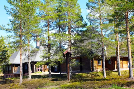 Kyrkan omgiven av flera barrträd.