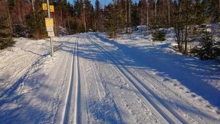Längdskidspår, dubbla spår, gul skylt, träd på sidorna av spåret.