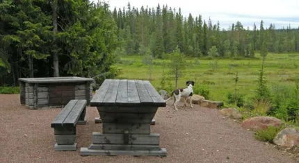 Bord och bänk.