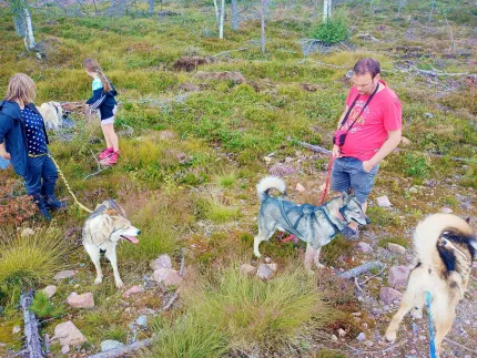 Tre personer som går med Husky hundar i skogen.