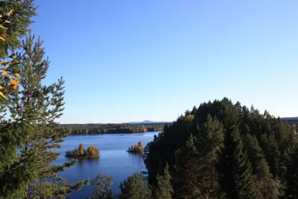 Owe Hållmarker Österdalälven och skog.